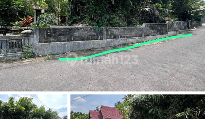 Dijual Tanah Pekarangan Murah di Dekat Pasar Turi Donokerto Dijual Tanah Pekarangan Murah di Dekat Pasar Turi Donokerto