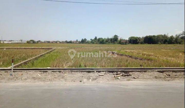 Luas 410 Tanah Sawah Murah Dekat Pasar Godean Bagus Investasi 1