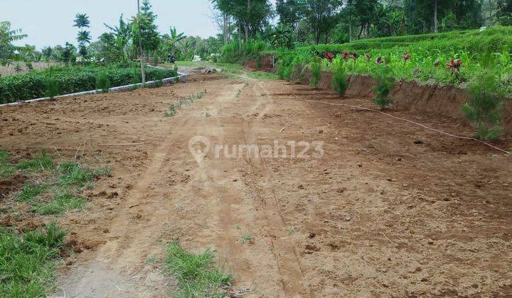 Tanah Datar Ciater ada Mata Air Agrowisata tingkat 1 2