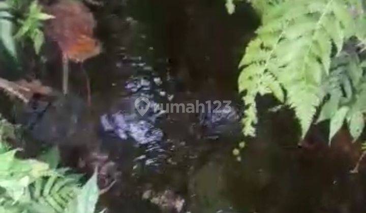 Tanah Datar Ciater ada Mata Air Agrowisata tingkat 1 5
