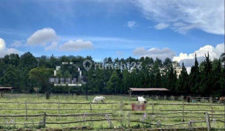 Tanah ex Tempat Wisata Lembang Sangat Strategis bisa beli sebagian 2