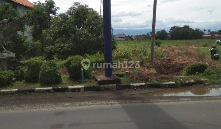 Tanah Mainroad Wiradesa Pekalongan Cocok Untuk Berbagai Usaha 2