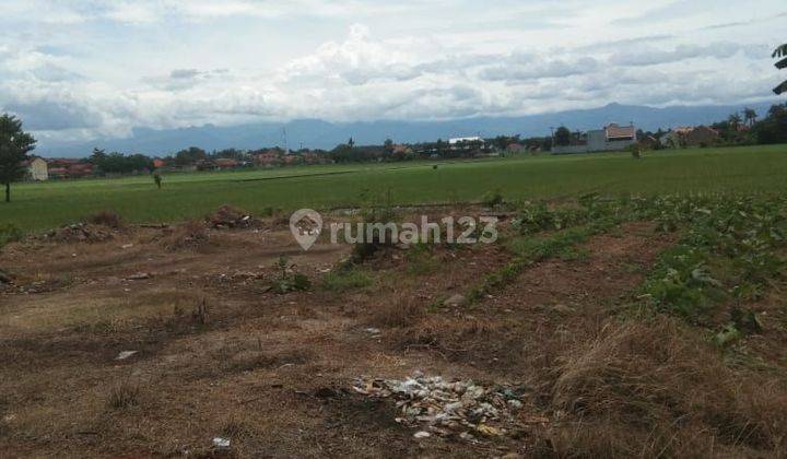 Tanah Mainroad Wiradesa Pekalongan cocok untuk Usaha Tenun 1