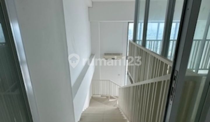 For Rent Neo Soho Residence Apartment Melrose Type 2