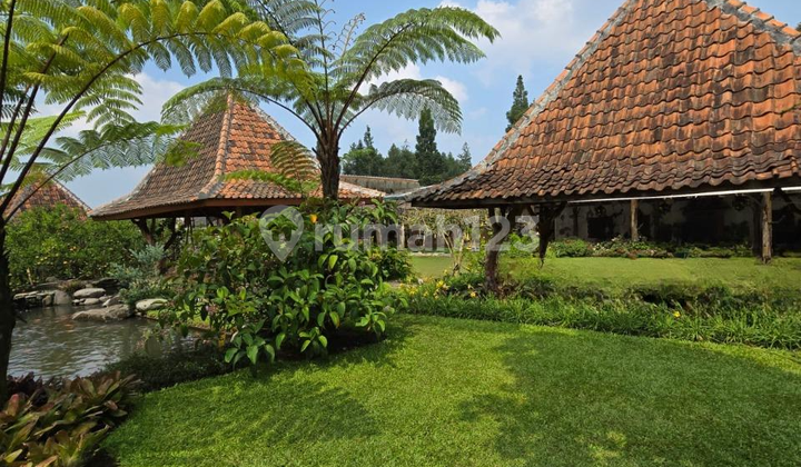 Tanah Cocok Untuk Hotel dan Pariwisata di Setiabudi Bandung Kota Tanah Cocok Untuk Hotel dan Pariwisata di Setiabudi Bandung Kota