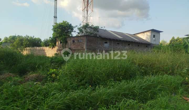 Tanah Kavling Belakang Polsek Cibeber Nego Tanah Kavling Belakang Polsek Cibeber Nego