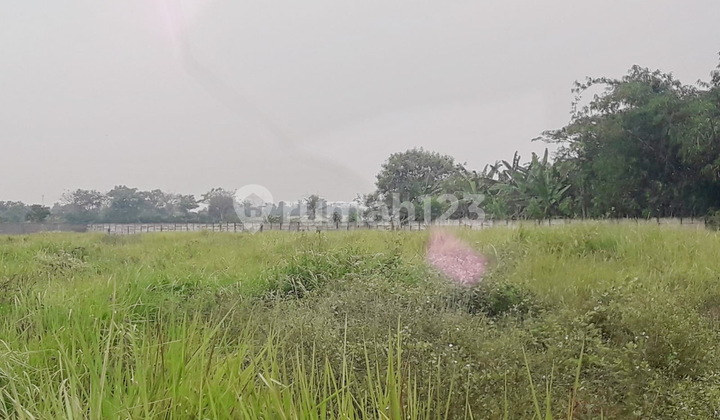 Tanah Oke 1,7 Hektar Zona Pergudangan Nambo Ciruas Turun Harga 6