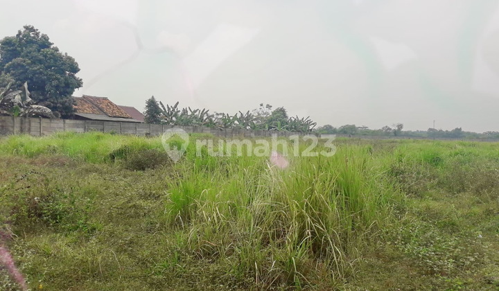 Tanah Oke 1,7 Hektar Zona Pergudangan Nambo Ciruas Turun Harga 8