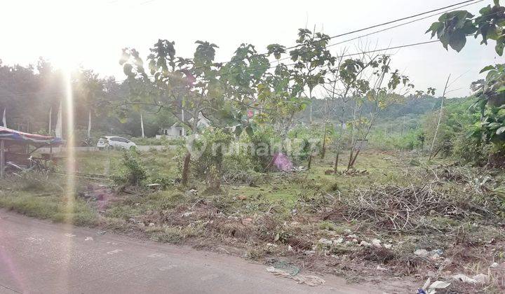 Tanah Jln Raya Kramatwatu Waringinkurung Dekat Perumahan Serang Gallery 3