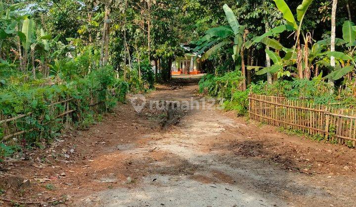 Tanah Harga Miring Jl Raya Pagelaran Labuan Pandeglang 3