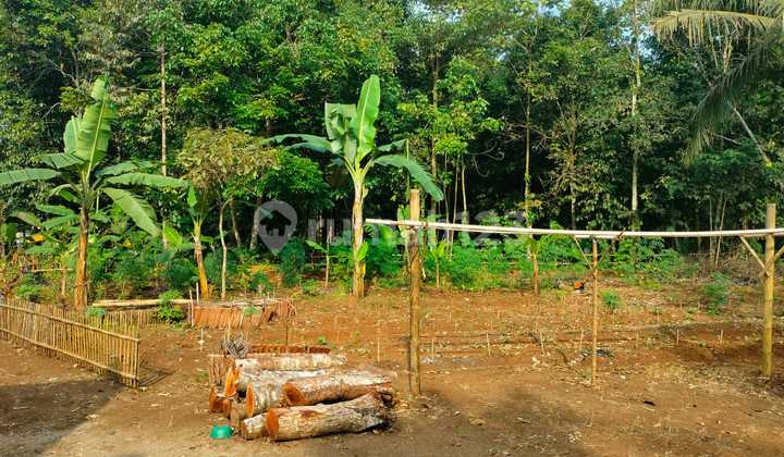 Tanah Harga Miring Jl Raya Pagelaran Labuan Pandeglang 6