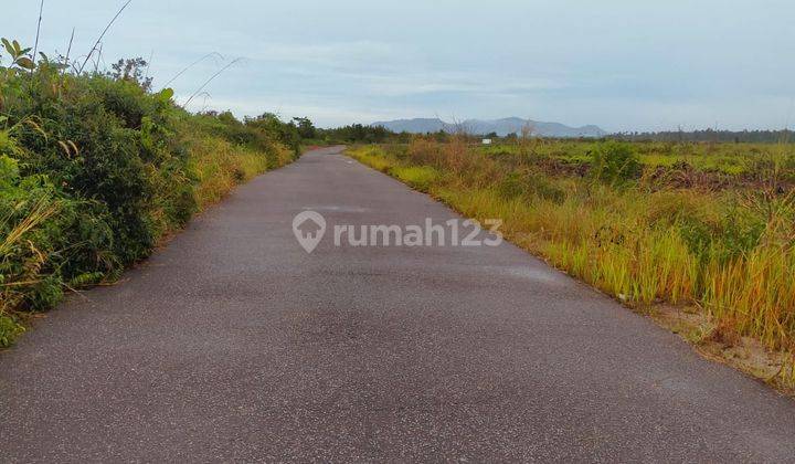 Tanah Cocok Untuk Lahan Sawit Banjarbaru 5