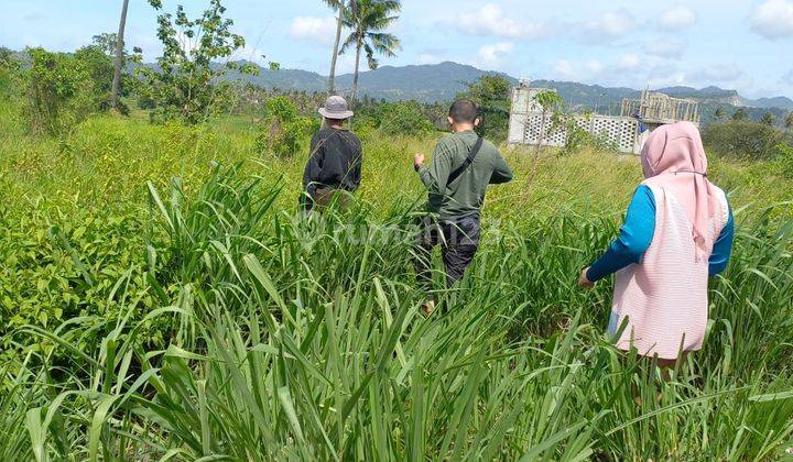 Lahan Strategis Bojonegara Kertasana Dekat Pom Bensin 1