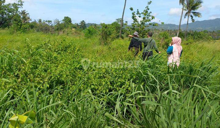 Lahan Strategis Bojonegara Kertasana Dekat Pom Bensin 2