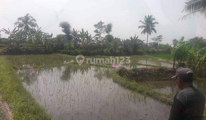 Tanah Sawah Dekat Villa Sukacai Baros Harga Miring 2