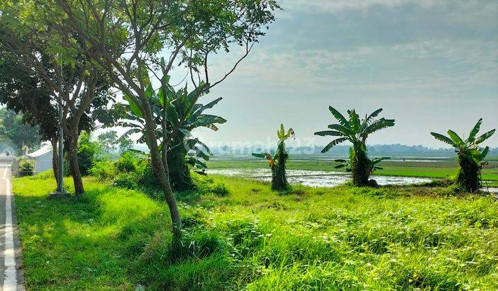 Tanah Tasikardi Akses Tol Serang Barat 1