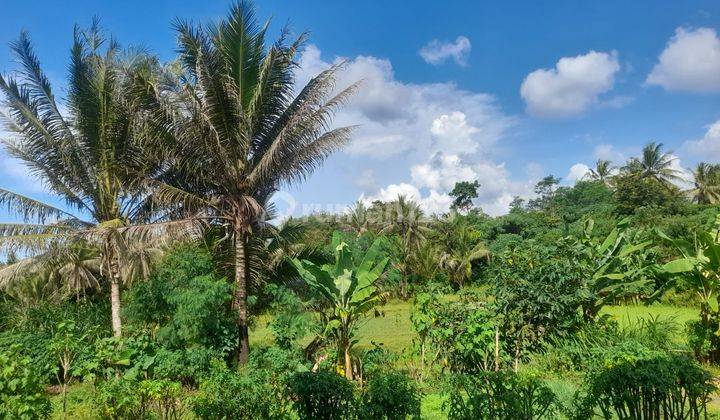 Tempat Wisata Suasana Asri Dan Alami Cikerai 1