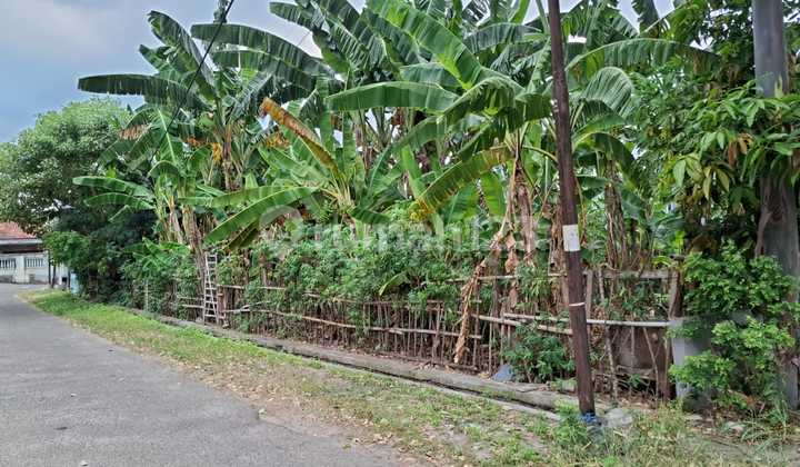 Tanah Kavling Jl Belibis Tengah Kota Cilegon