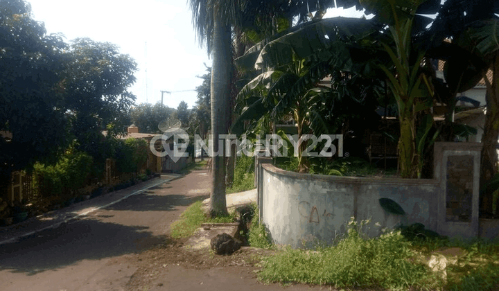 Bbs 3 Hook Land Already Fenced Ready to Build Your Dream Residence