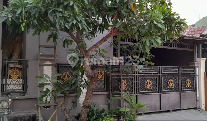 Hunian Bagus Minimalis Taman Krakatau Nego Halus Hunian Bagus Minimalis Taman Krakatau Nego Halus