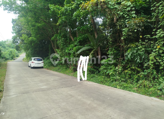 Main Road Baros Land Negotiable Until Deal Main Road Baros Land Negotiable Until Deal