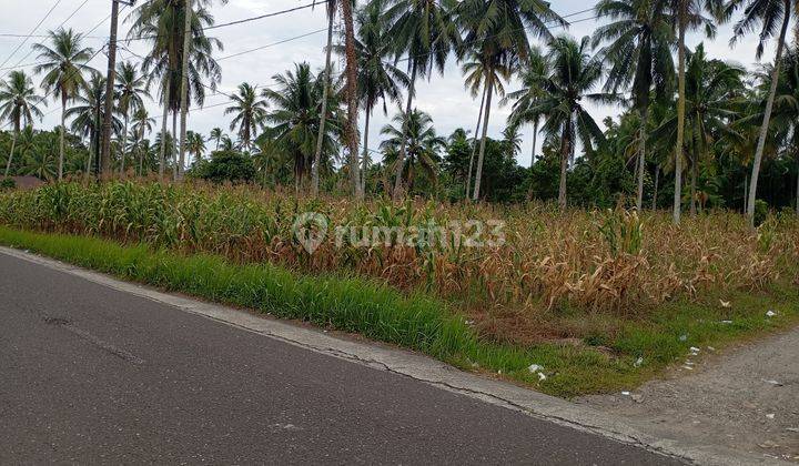 Tanah Strategis Ds Katapiang Padang Pariaman 1