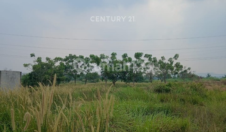 Tanah Jl Raya Bojonegara Dekat Pelelangan Ikan Nego