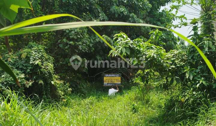 Tanah Strategis Jalan Raya Sayabulu Cocok untuk Kosan Tanah Strategis Jalan Raya Sayabulu Cocok untuk Kosan