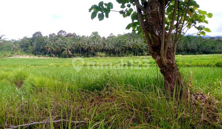 Tanah Provinsi Palka Pandarincang 2