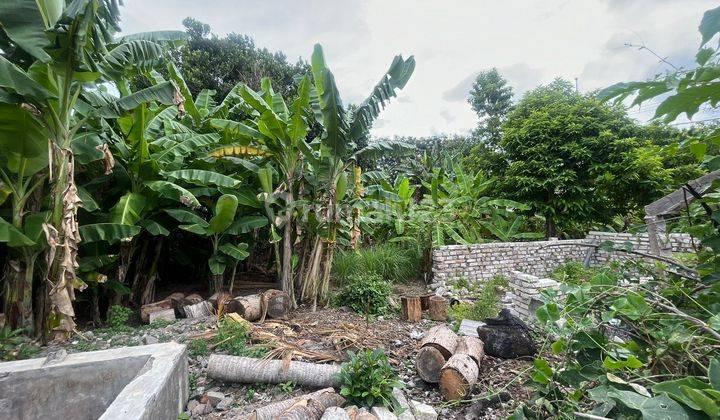 Land Bank Auction on Ngurah Rai Bypass Road, Denpasar, Bali Region 2