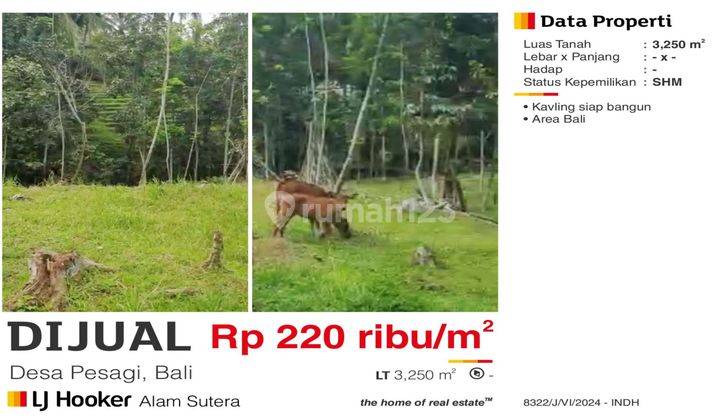 Dijual Kavling Desa Pesagi, Tabanan Bali. 2