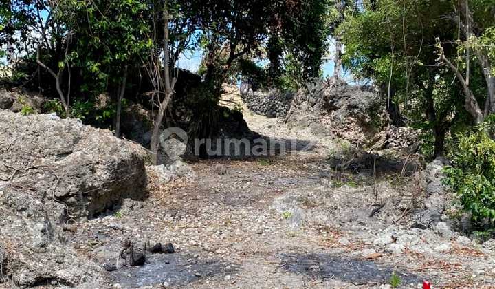 Tanah Tepi Pantai Di Pulau Rote, Nusa Tenggara Timur