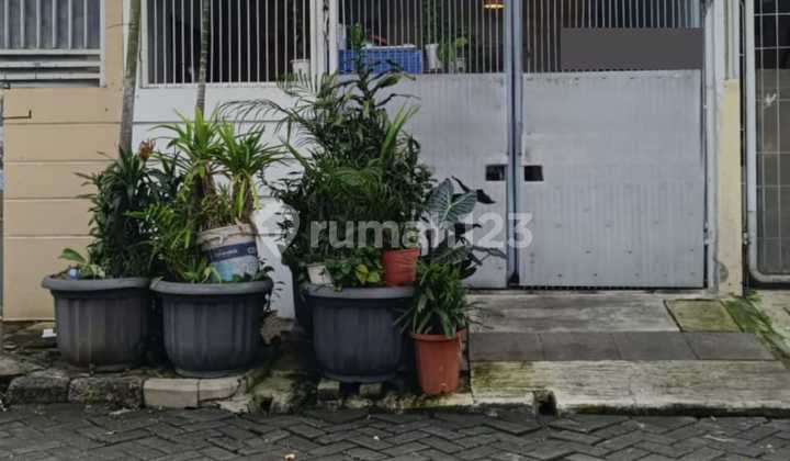 Rumah Di Taman Semanan Indah, Jakarta Barat. Dekat Akses Bandara Rumah Di Taman Semanan Indah, Jakarta Barat. Dekat Akses Bandara