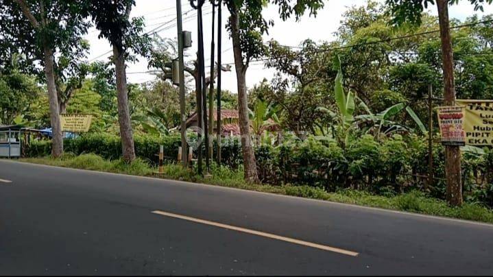 Tanah Narimbang, Rangkasbitung, Lebak. Dekat Tol Serang-panimbang 2
