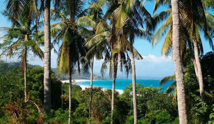 Tanah Beachfront Dekat Hotel Mewah Nihiwatu Sumba 2