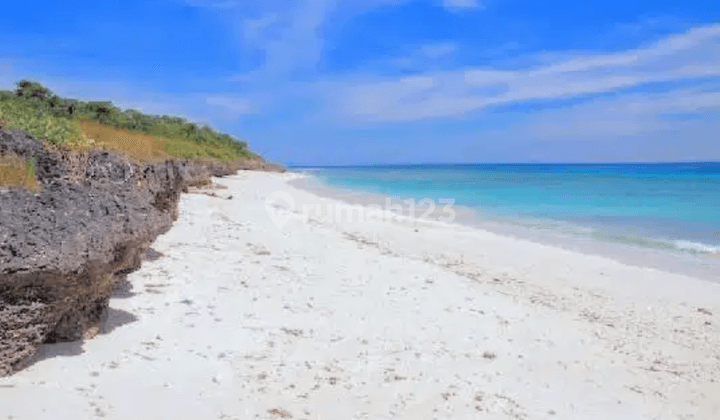 Dijual Tanah Pinggir Pantai Pasir Putih Dekat Bandara Di Sumba 2