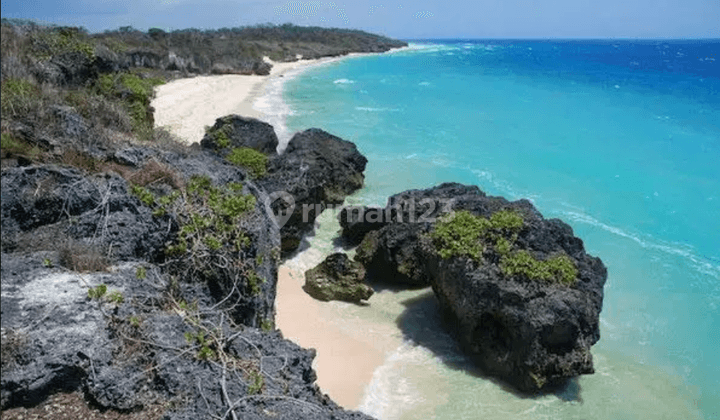 Dijual Tanah Pinggir Pantai Pasir Putih Dekat Bandara Di Sumba 4