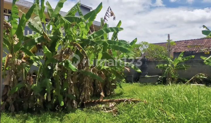 Tanah Murah Pinggir Jalan Cocok Untuk Ruko Atau Gudang 3
