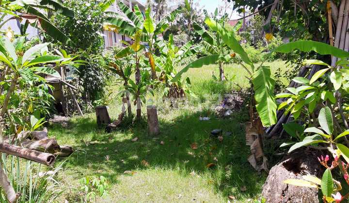 Tanah Di Jalan Muding Indah Cocok Untuk Gudang Atau Rumah Tinggal 4