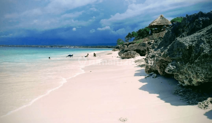 Tanah Cantik Pinggir Pantai Dekat Bandara Tambolaka 1