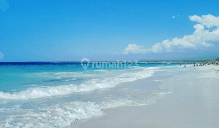 Tanah Cantik Pinggir Pantai Dekat Bandara Tambolaka 4