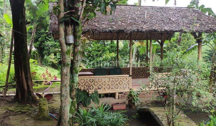 Rumah didago lahan luas SHM bonus joglo antik 2