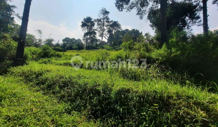 Tanah Bukit Dago Timur Shm Tanah Bukit Dago Timur Shm