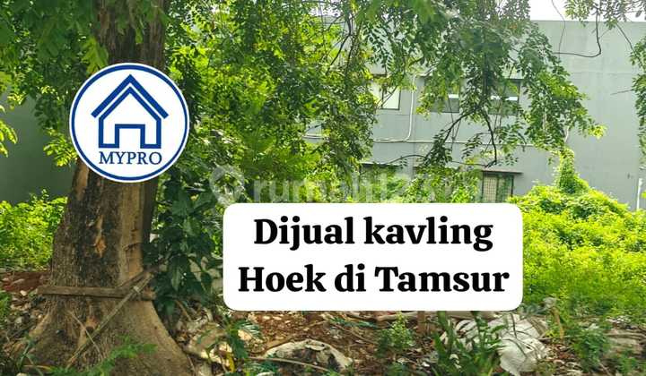 Tanah Hoek Di Taman Surya 500m2 Hgb