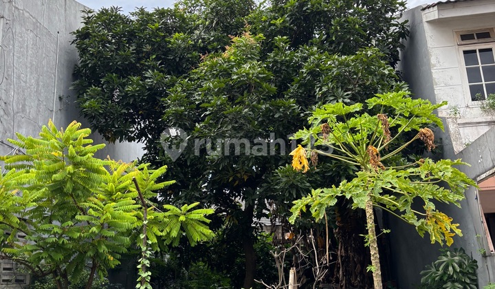 Kavling Kecil di Bukit Permai