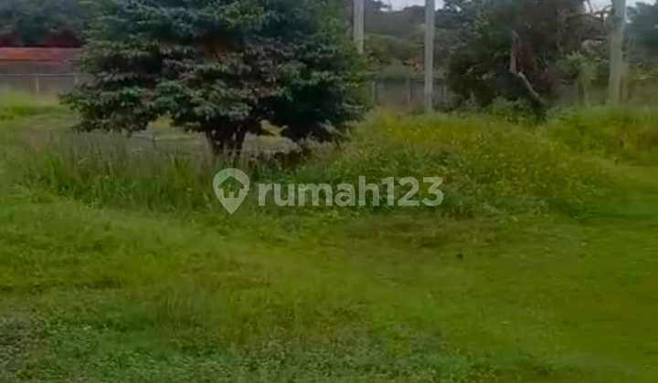 Tanah di bwh njop lt 7948 m2 cimanggis , depok , jawa barat murah 2