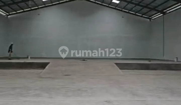 Gudang baru masuk container deddy