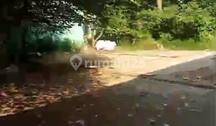 Ready-to-use warehouse wawan. Ready-to-use warehouse wawan.