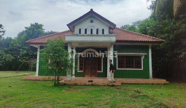 Kavling pinggir jalan ninis 1
