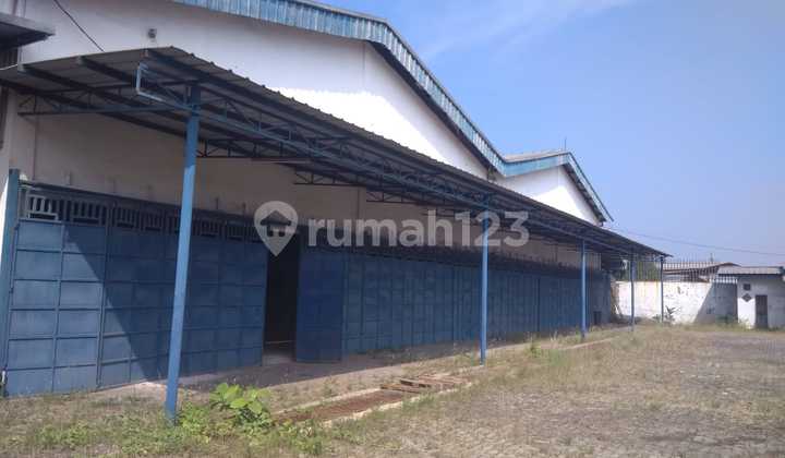 Container warehouse entrance deddy